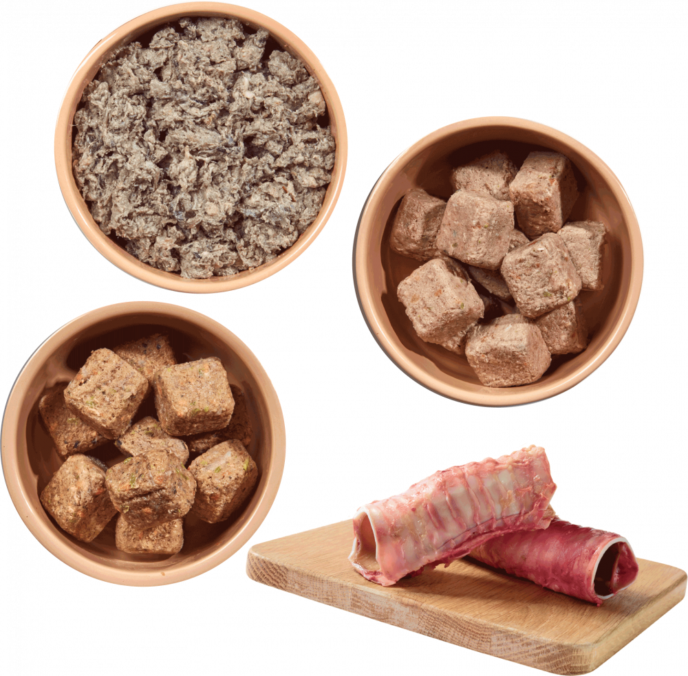 RAW STARTER PACK - Image 2