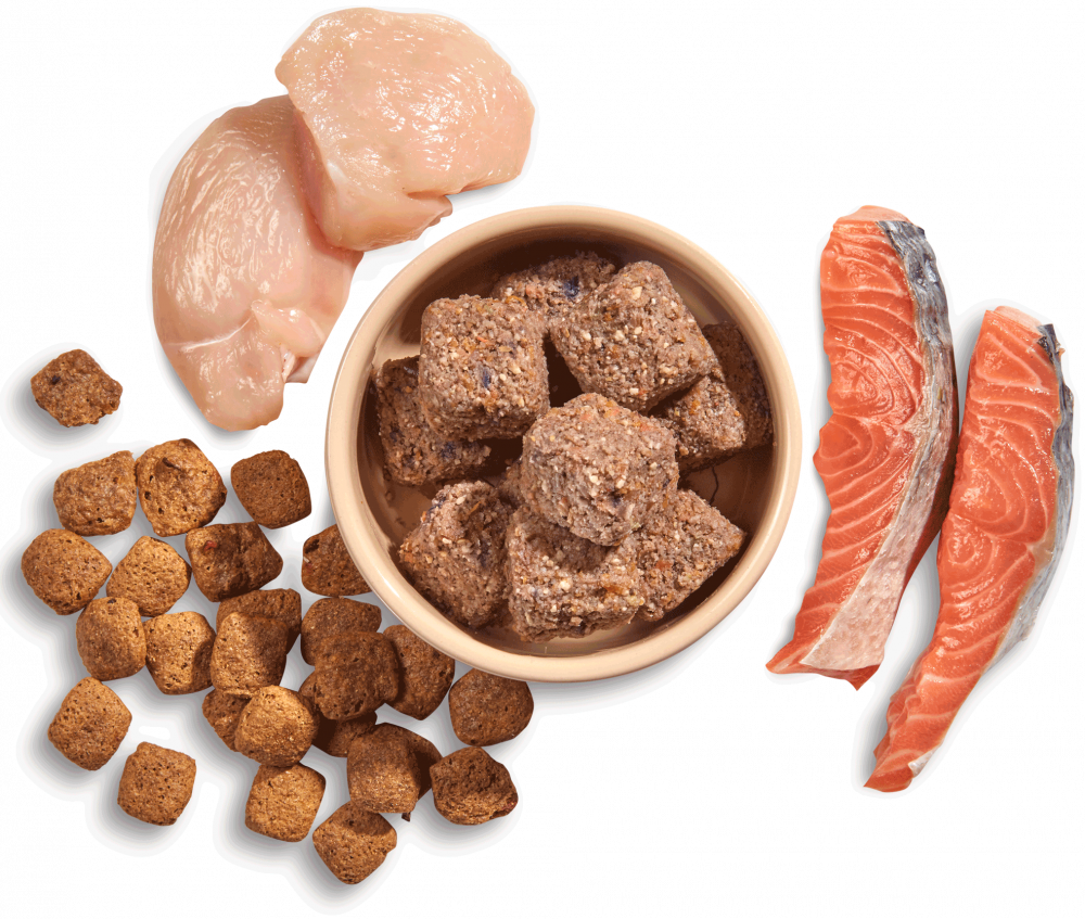 Veggie Boost Nuggets - Image 3