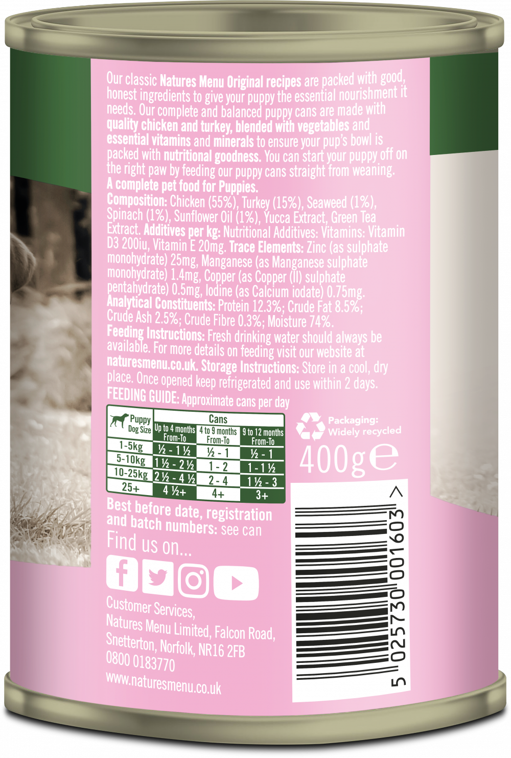 Junior Chicken with Turkey - Image 3