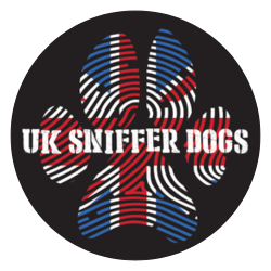 uk-sniffer-dogs-04